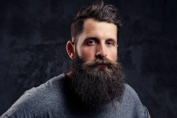 Portrait Hipster Full Beard Stylish Haircut Dressed Gray Shirt Looking — Stock Photo, Image