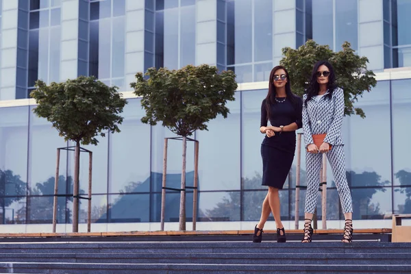 Porträt Zweier Geschäftsfrauen Eleganter Formaler Kleidung Die Auf Den Stufen — Stockfoto
