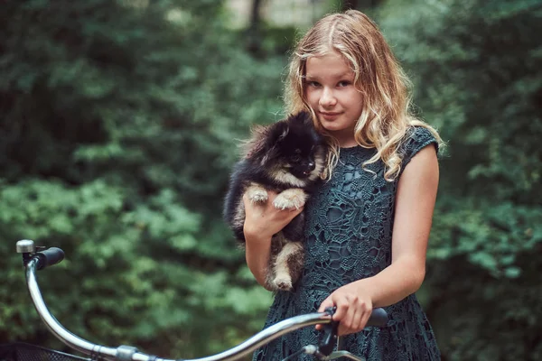 Retrato de una niña rubia en un vestido casual, sostiene lindo perro spitz, en un parque . — Foto de Stock