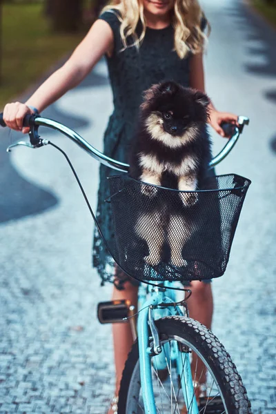 Retrato de una niña rubia con un vestido casual, sostiene lindo perro spitz. Montar en bicicleta en el parque . — Foto de Stock