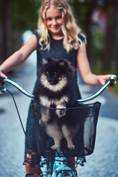 Porträt eines kleinen blonden Mädchens in einem lässigen Kleid, hält niedlichen Spitz-Hund. Fahrradtour im Park. — Stockfoto