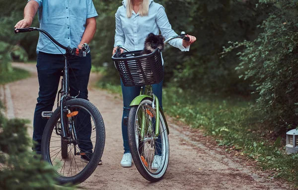 Ett attraktivt par en blond kvinna och mannen klädd i casual kläder på en cykeltur med sin söta lilla spitz i en cykelkorg. — Stockfoto