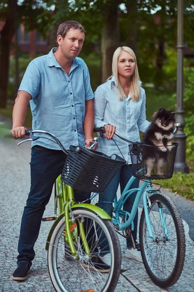 一个漂亮的夫妇的金发女郎和男子穿着休闲衣服骑自行车与他们可爱的小斯皮茨在篮子里 — 图库照片