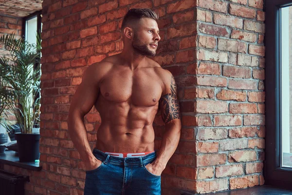 Retrato de un hombre fuerte y guapo sin camisa con cuerpo musculoso, con jeans, apoyado en una pared de ladrillo . — Foto de Stock