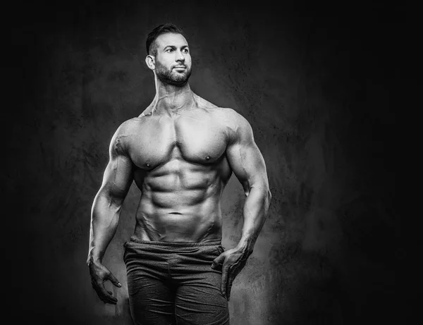 Portrait Shirtless Tall Huge Male Muscular Body Stylish Haircut Beard — Stock Photo, Image