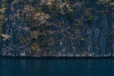 Güzel manzara, bir rocky bay, Filipin Adaları. Pasifik Okyanusu.