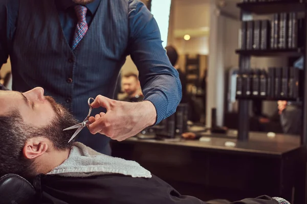 Bearded male sitting in an armchair in a barber shop while hairdresser modeling beard with scissors and comb at the barbershop.