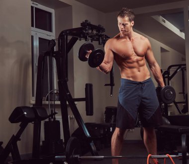 Spor salonunda dumbbells ile bir pazı egzersizleri yaparken kas vücut geliştirmeci adam.