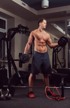 Spor salonunda dumbbells ile bir pazı egzersizleri yaparken kas vücut geliştirmeci adam.