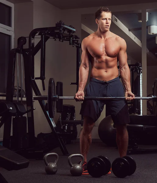 Muscular Sem Camisa Fisiculturista Masculino Levantando Uma Barra Bíceps Ginásio — Fotografia de Stock