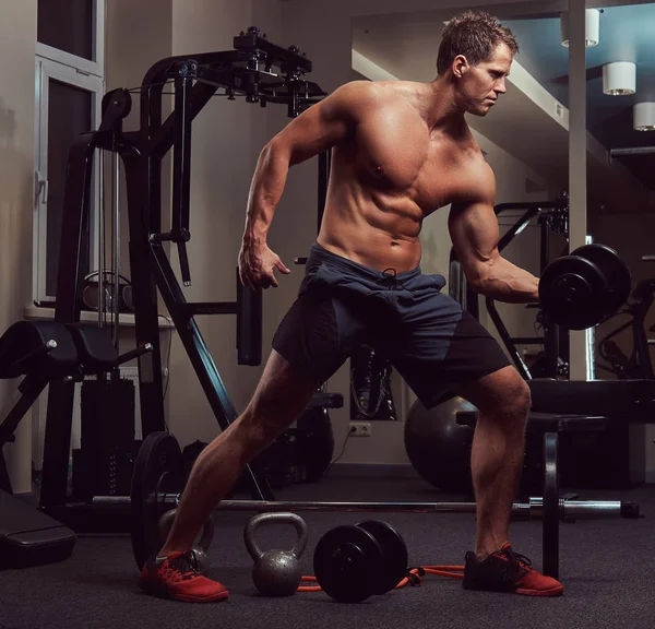 Spor salonunda dumbbells ile bir pazı egzersizleri yaparken kas vücut geliştirmeci adam.