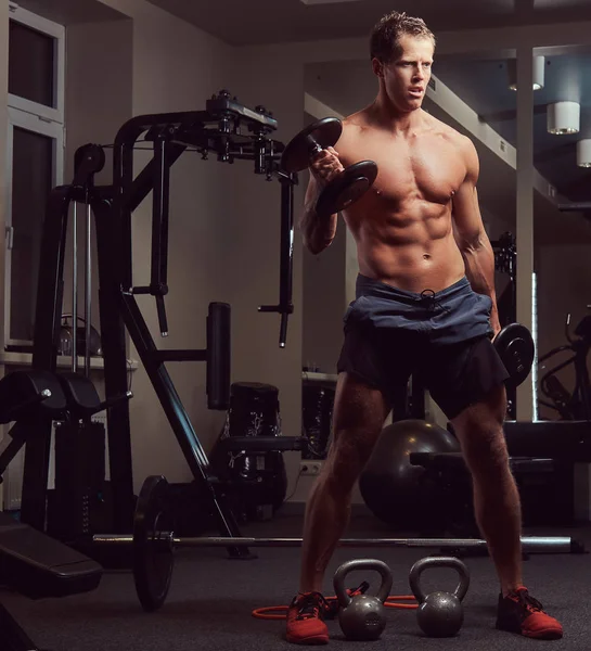 Bonito Musculoso Sem Camisa Fisiculturista Homem Fazendo Exercícios — Fotografia de Stock