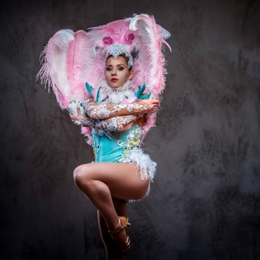 Görkemli karnaval tüy elbiseli güzel kız.