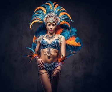 Renkli görkemli karnaval tüy seksi bir kadın portresi stüdyo uygun. Karanlık bir arka plan üzerinde izole.