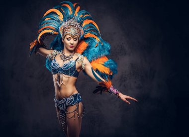 Renkli görkemli karnaval tüy seksi bir kadın portresi stüdyo uygun. Karanlık bir arka plan üzerinde izole.