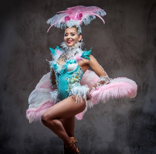 Beautiful girl in a sumptuous carnival feather suit. — Stock Photo, Image