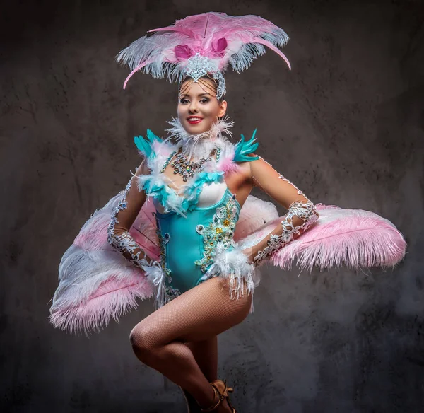 Beautiful girl in a sumptuous carnival feather suit. — Stock Photo, Image