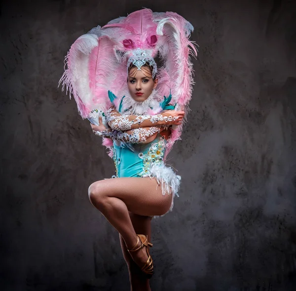 Beautiful girl in a sumptuous carnival feather suit. — Stock Photo, Image