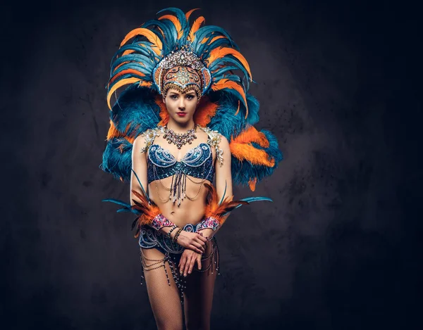 Studio portrait of a sexy female in a colorful sumptuous carnival feather suit. Isolated on a dark background. — Stock Photo, Image