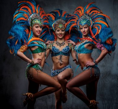 Renkli görkemli karnaval tüy elbiseli seksi bir kız grubu.