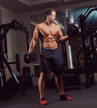 Kaslı vücut geliştirmeci adam dumbbells bir spor salonu ile bir pazı egzersizleri yapıyor.