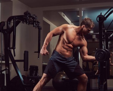 Kaslı vücut geliştirmeci adam dumbbells bir spor salonu ile bir pazı egzersizleri yapıyor.