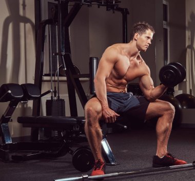 Spor salonunda bir bankta oturur iken dumbbells ile egzersiz yaparak kas gömleksiz atlet.