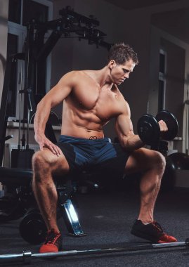 Spor salonunda bir bankta oturur iken dumbbells ile egzersiz yaparak kas gömleksiz atlet.