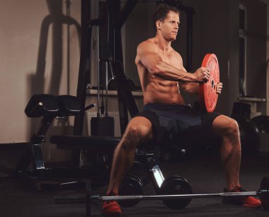 Spor salonunda bir bankta oturur iken halter disk ile egzersiz yaparak kas gömleksiz atlet.