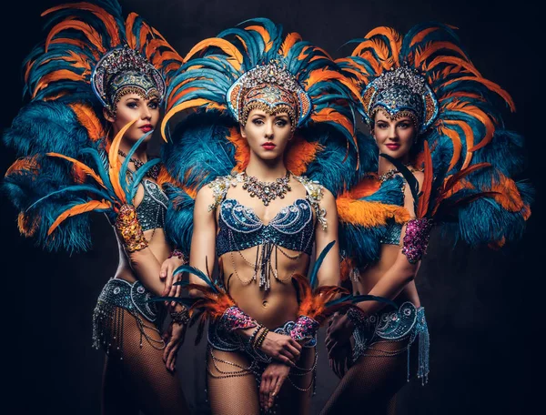 Grupo de um sexy meninas em um colorido suntuoso terno de penas de carnaval . — Fotografia de Stock