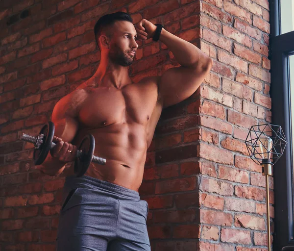 Tall stylish shirtless bodybuilder dressed in sports shorts, doing exercise on a bicep with a dumbbell.