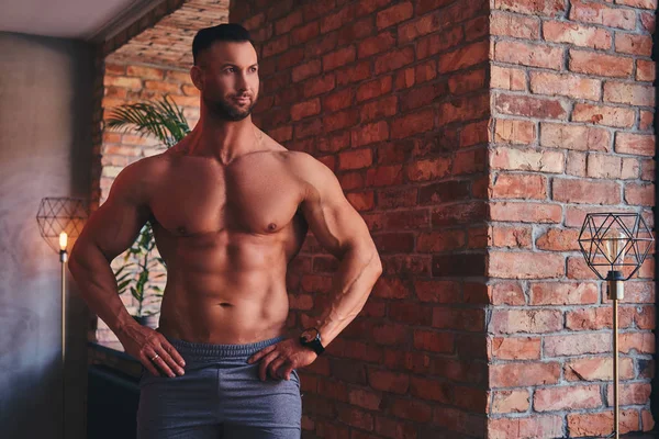 Tall stylish shirtless bodybuilder dressed in sports shorts, looking out the window. - Stock Image - Everypixel Tall stylish shirtless bodybuilder dressed in sports shorts, looking out the window. - Stock Image - Everypixel