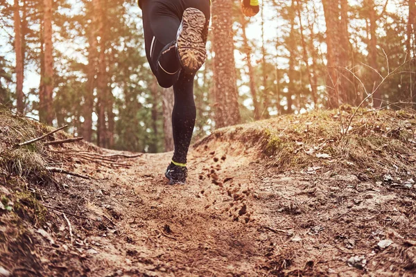 Sportsman Running Forest Trail Active Way Life Rear View — Stock Photo, Image