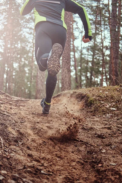 Sportsman Running Forest Trail Active Way Life Rear View — Stock Photo, Image