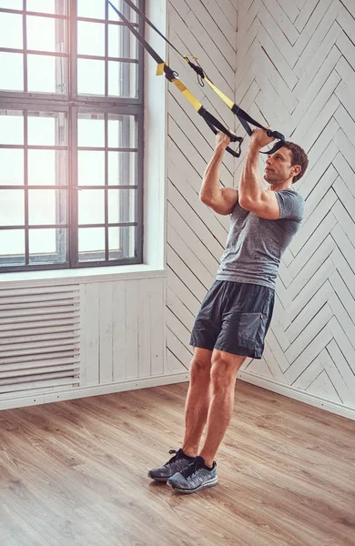 Muskulös fitness hane gör träning med Trx. funktionell träning hemma med Trx loopar. — Stockfoto