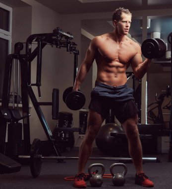 Kaslı vücut geliştirmeci adam dumbbells bir spor salonu ile bir pazı egzersizleri yapıyor.