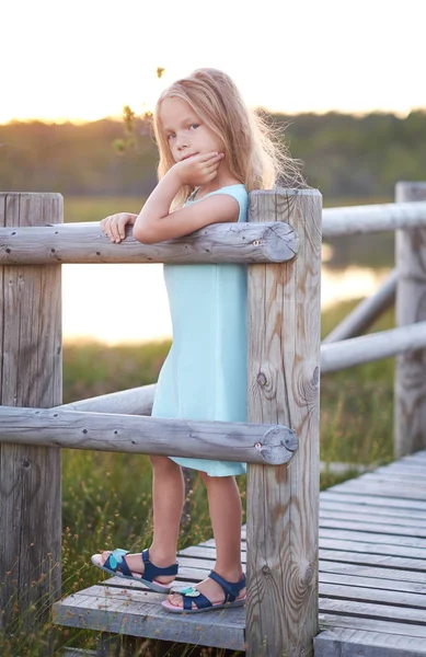 Ritratto di una graziosa bambina, in piedi all'aperto appoggiata su una recinzione di legno . — Foto Stock