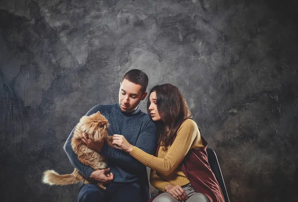 Retrato de pareja con gato pelirrojo grande —  Fotos de Stock