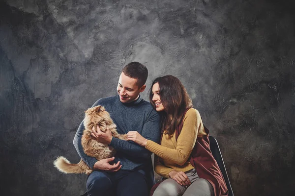 大きな生姜猫とカップルの肖像 — ストック写真