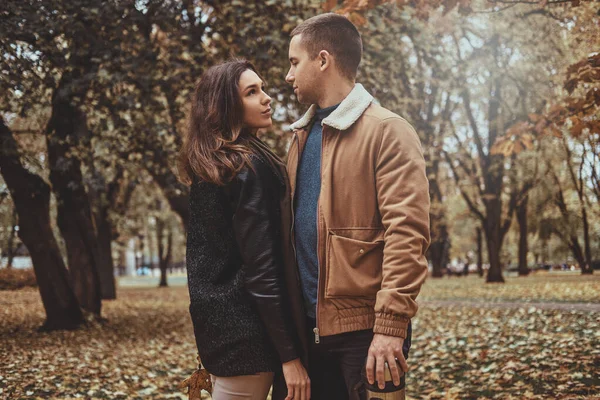 Couple has romantic date at autumn park — Stock Photo, Image