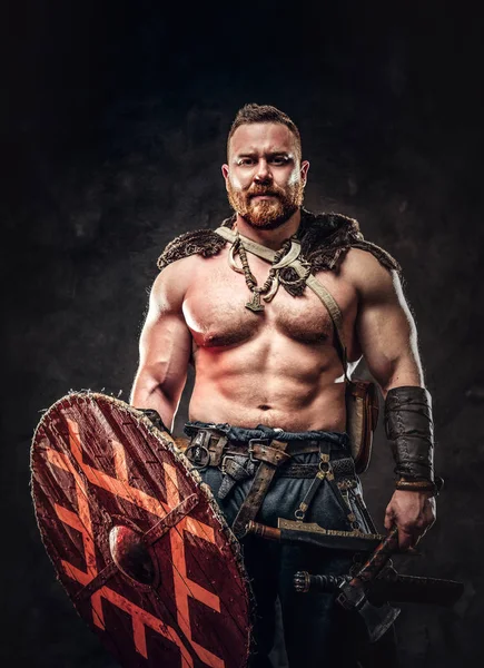 Severe barbarian in warrior clothes