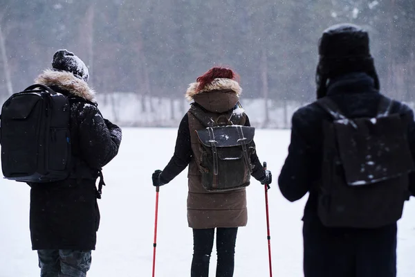 Group of backpackers hike in the cold snowy forest — Stock Photo, Image