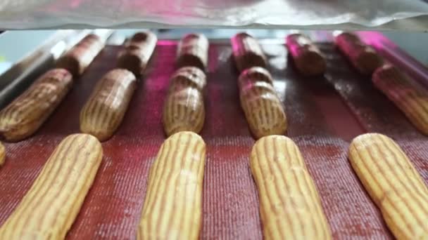 Close-up of mouth-watering cakes lying on vitrine in the confectionery — ストック動画