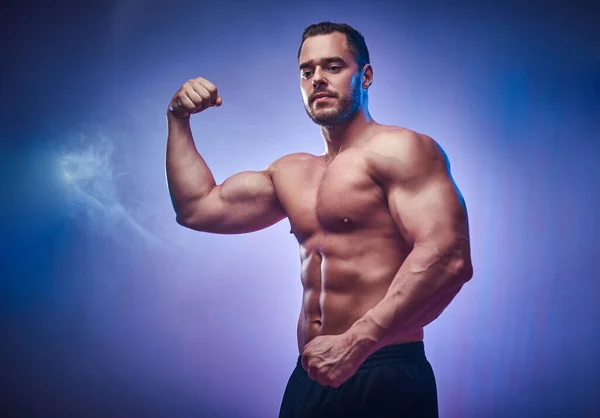 Portrait of handsome muscular man in the photo studio — 스톡 사진