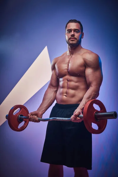 Portrait of handsome muscular man in the photo studio — Stock Photo, Image