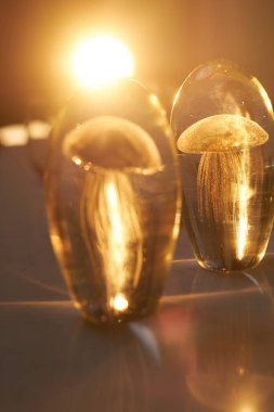 Kavramsal denizanası süslemesi, rahat bir kafede güneş ışığıyla aydınlatılmış bir masanın üzerinde duruyor.