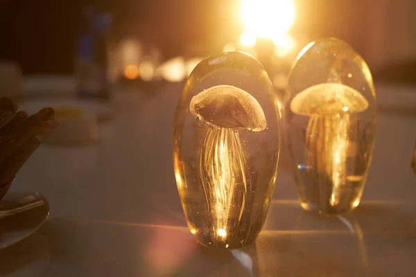 Концептуальне медузове прикраса, що стоїть на столі, освітлене сонячним світлом у затишному кафе — стокове фото