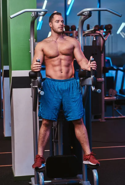 Strong bodybuilder standing on a parallel bars in a modern fitness center looking relaxed — Stock fotografie