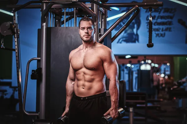 Athletic man with muscular body doing excersises with dumbbells in a gym — Stockfoto