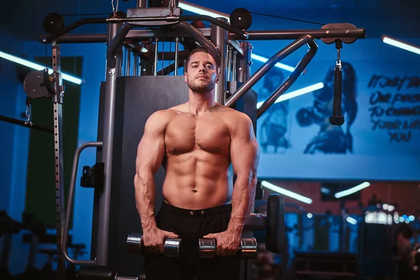 Athletic man with muscular body doing excersises with dumbbells in a gym — ストック写真